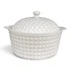 IMG_1889 Double Ear Ceramic Soup Pot 12-inch