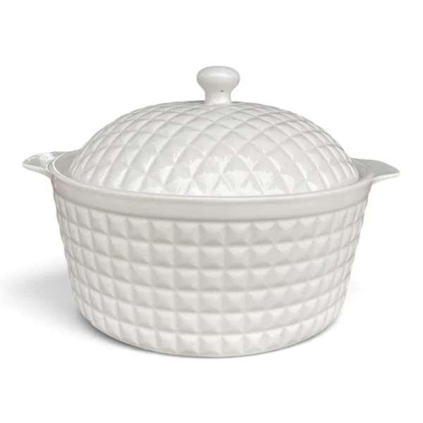IMG_1889 Double Ear Ceramic Soup Pot 12-inch
