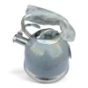 Gift Master GM669 German Whistle Kettle, 5L Stainless Steel